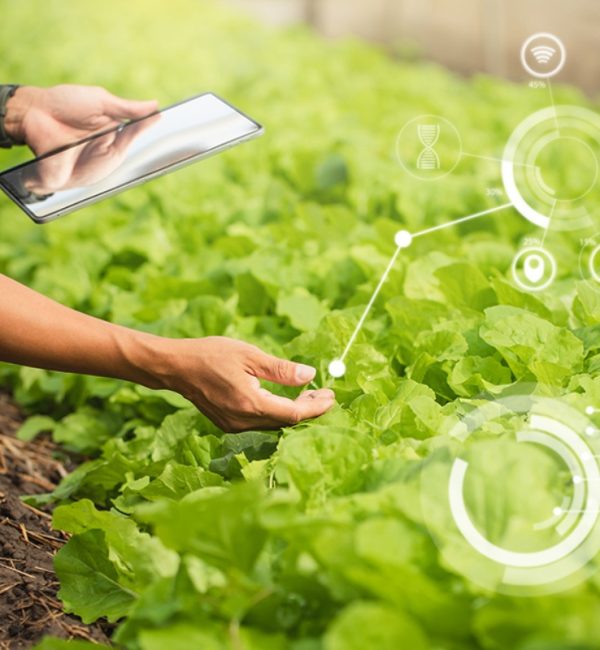 Agriculture-Software-Development-Guide Agriculture-Software-Development-Guide